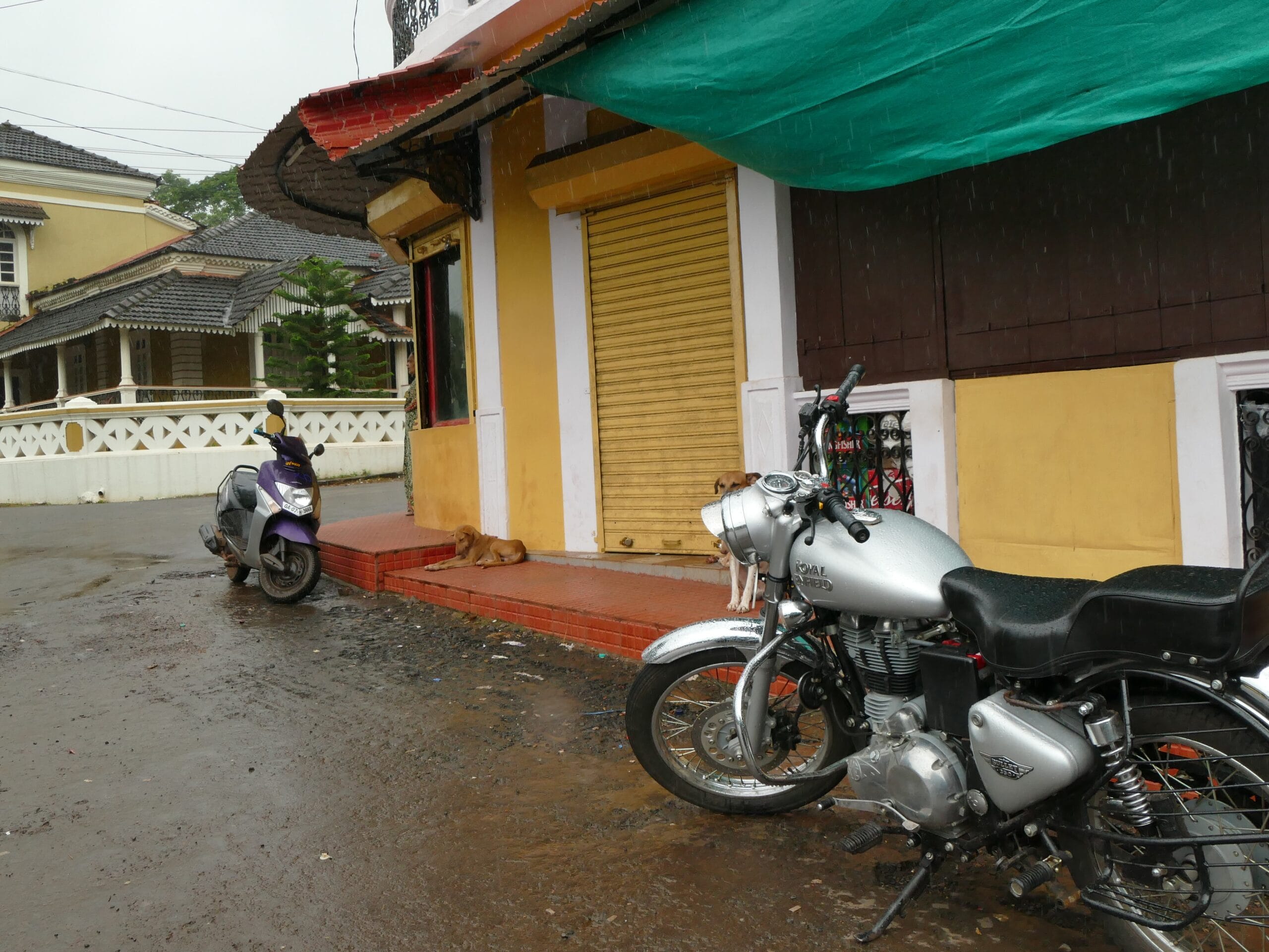P1010740
