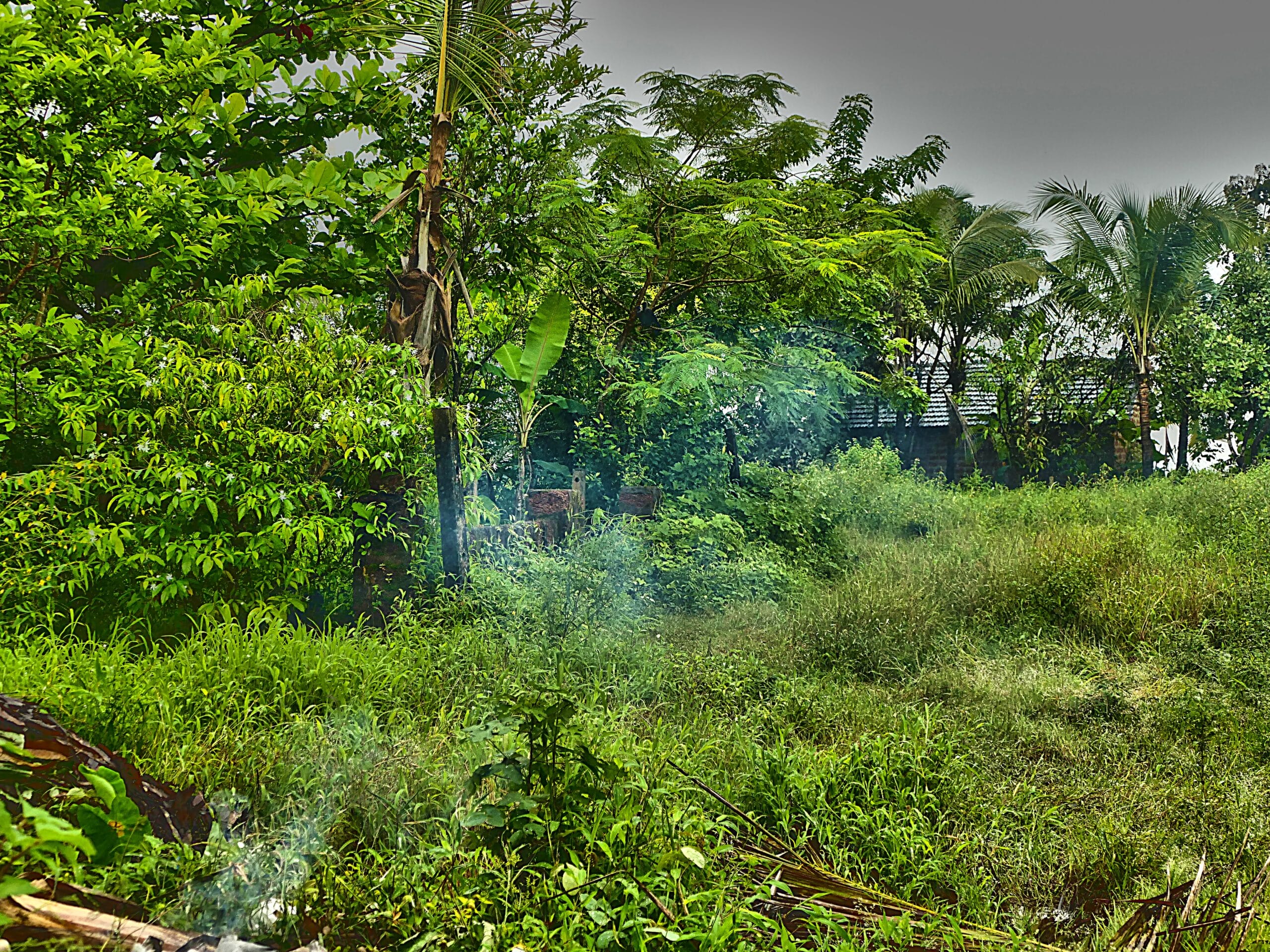 P1010745-Edit-2