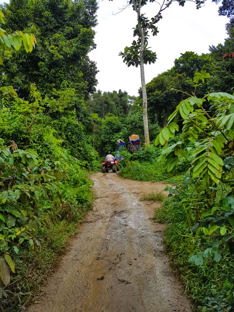Muddy ATV trail through greenery on Phuket