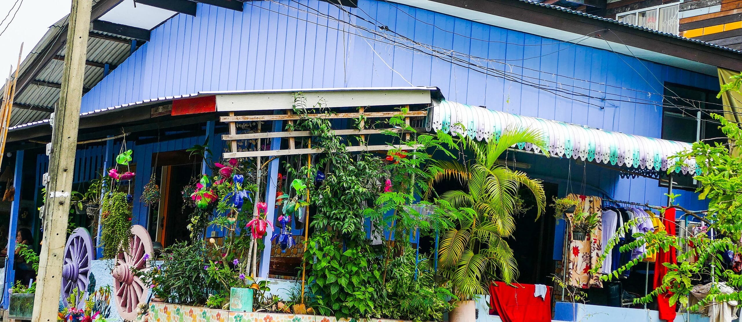 Bangkok canals orchid farm Thonburi khlong scene