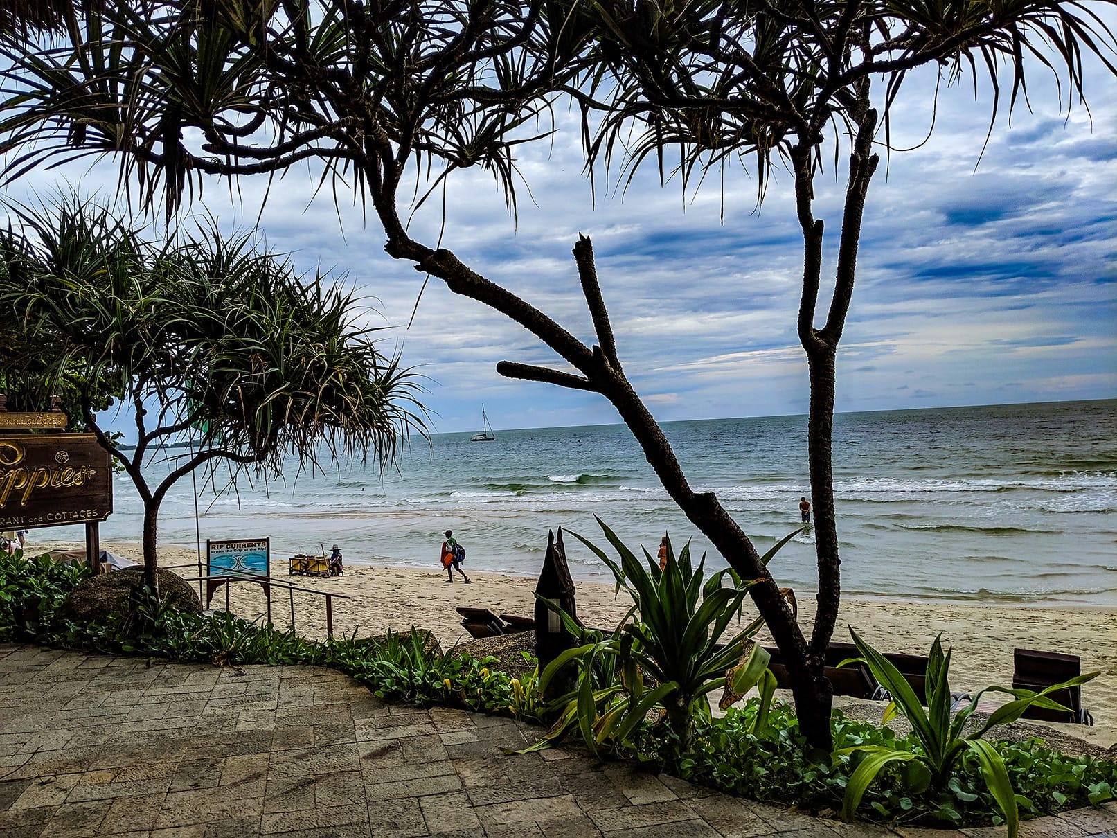 MVIMG_20190605_112158