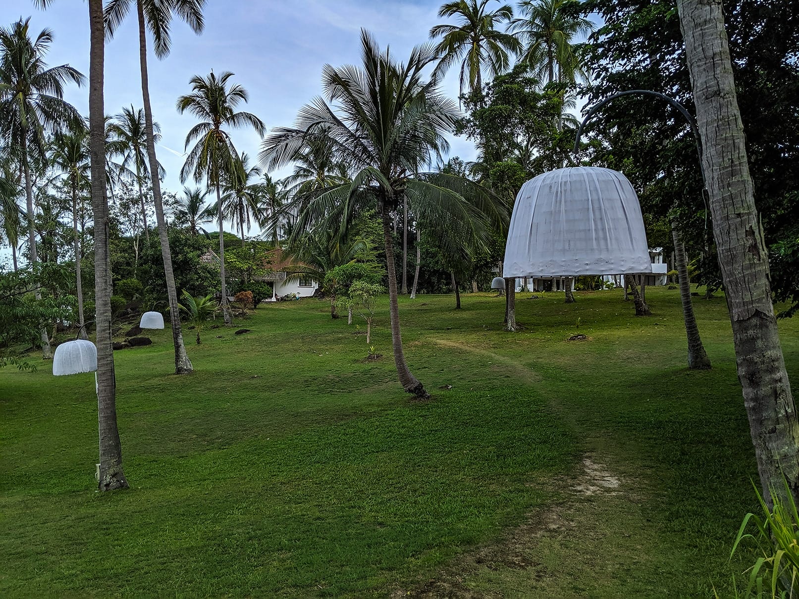 MVIMG_20190605_175701