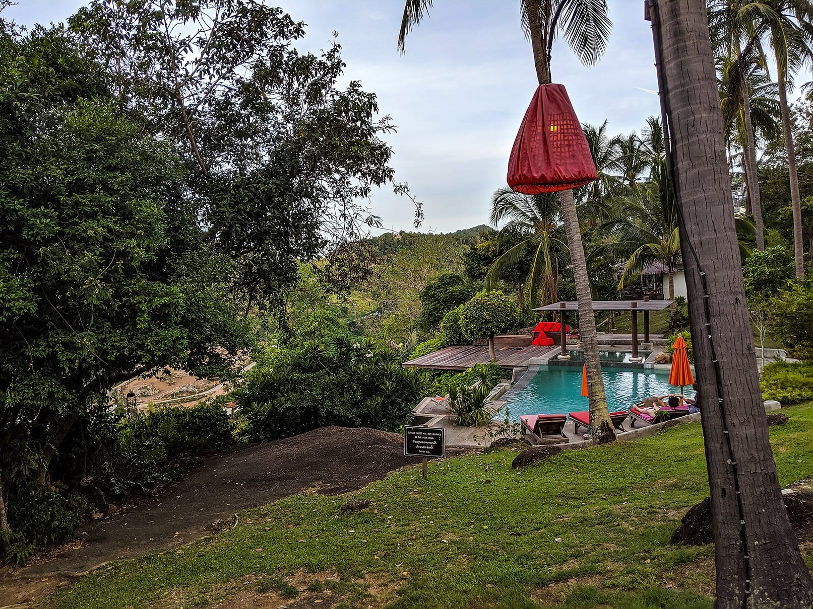 MVIMG_20190605_175528