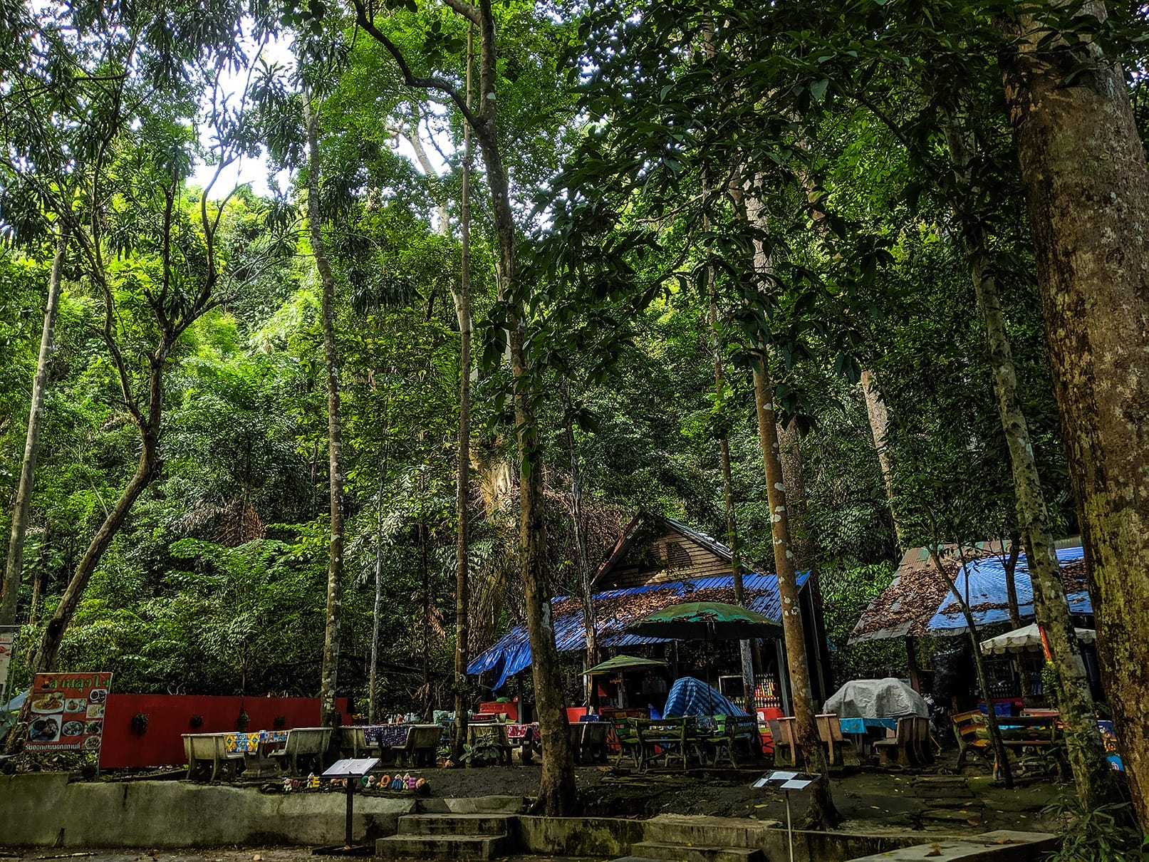 MVIMG_20190605_164515