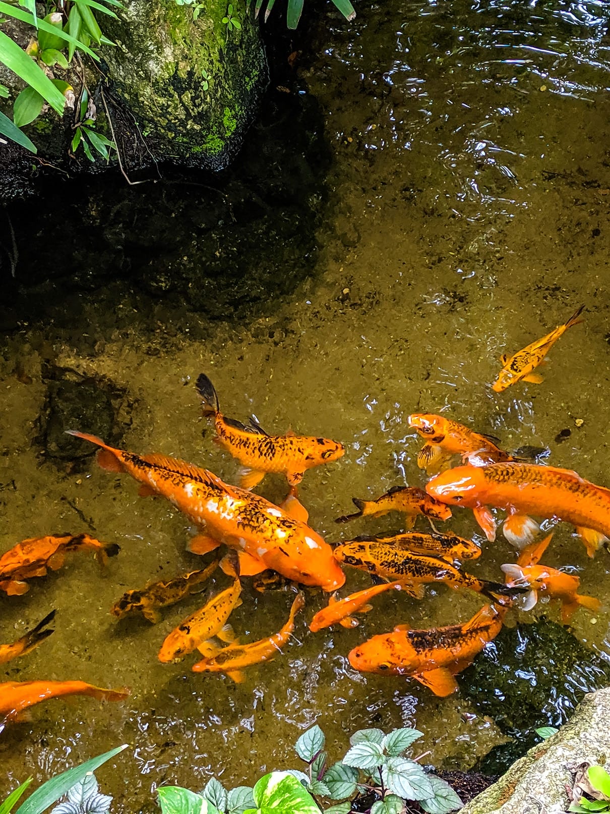 MVIMG_20190606_104523