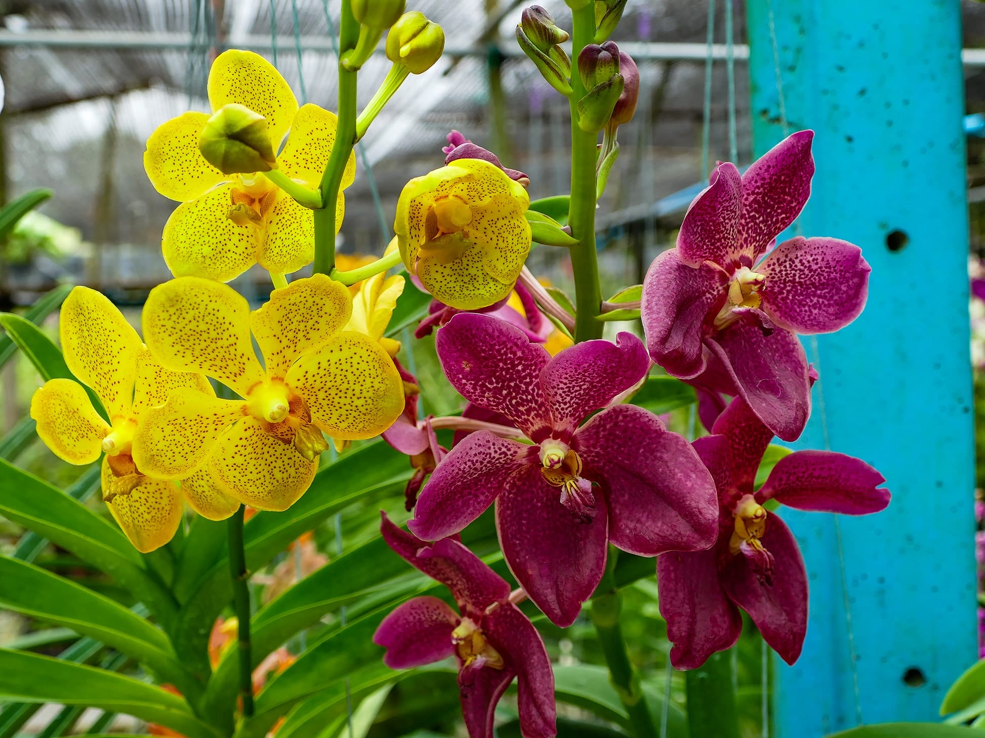P1020397