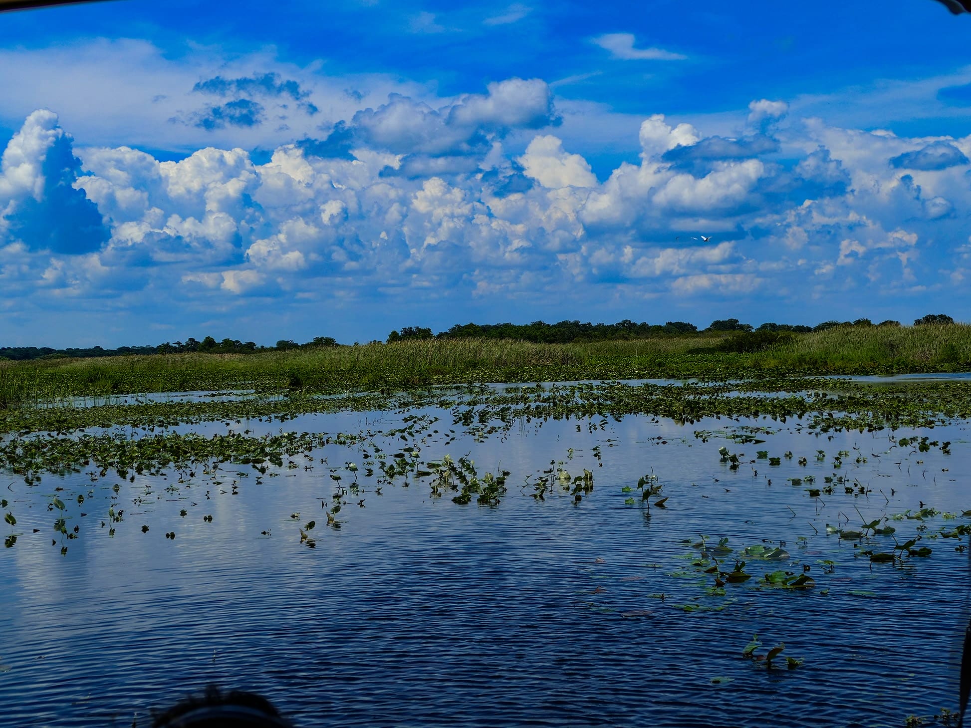 P1040890