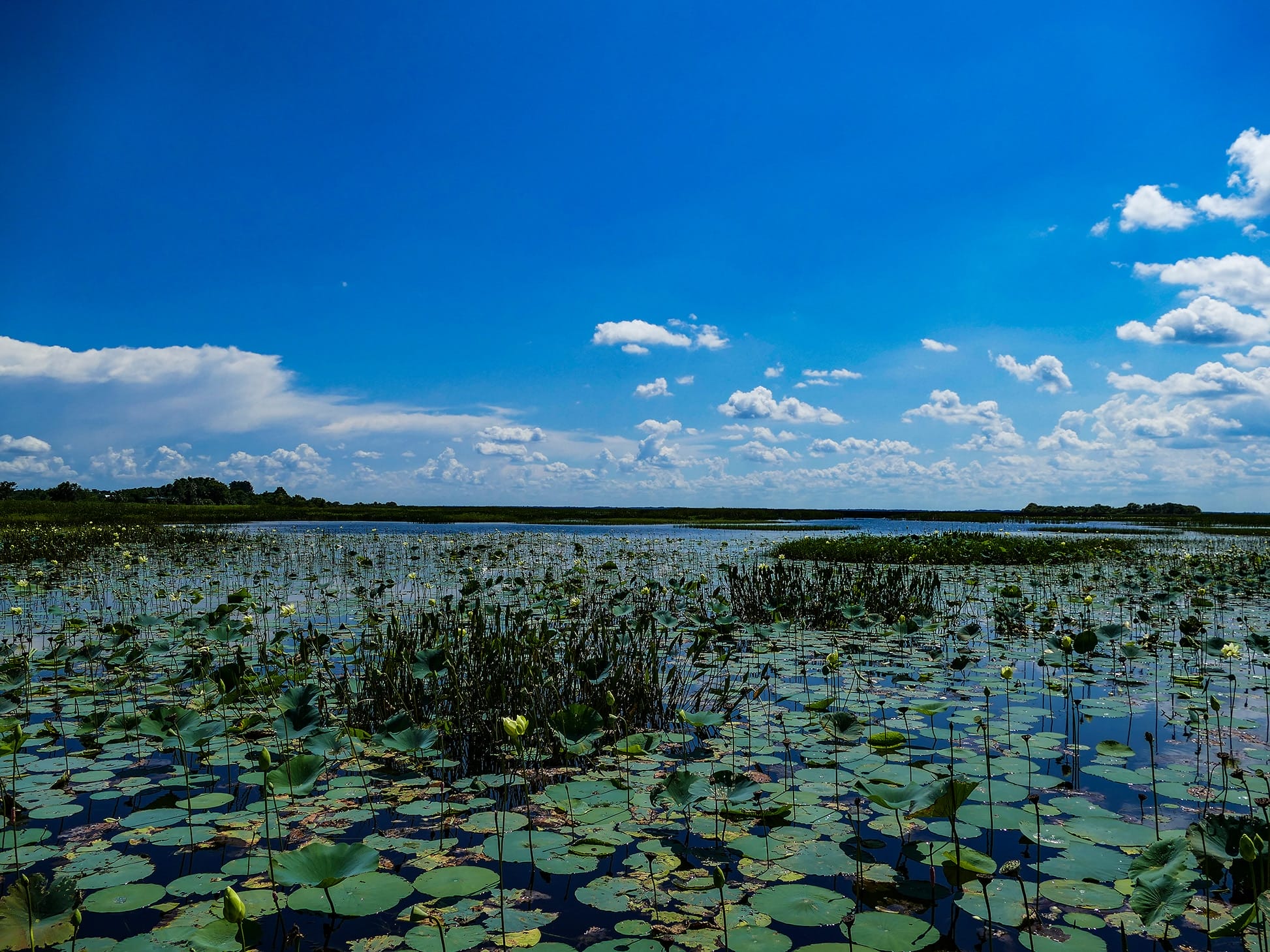 P1040926
