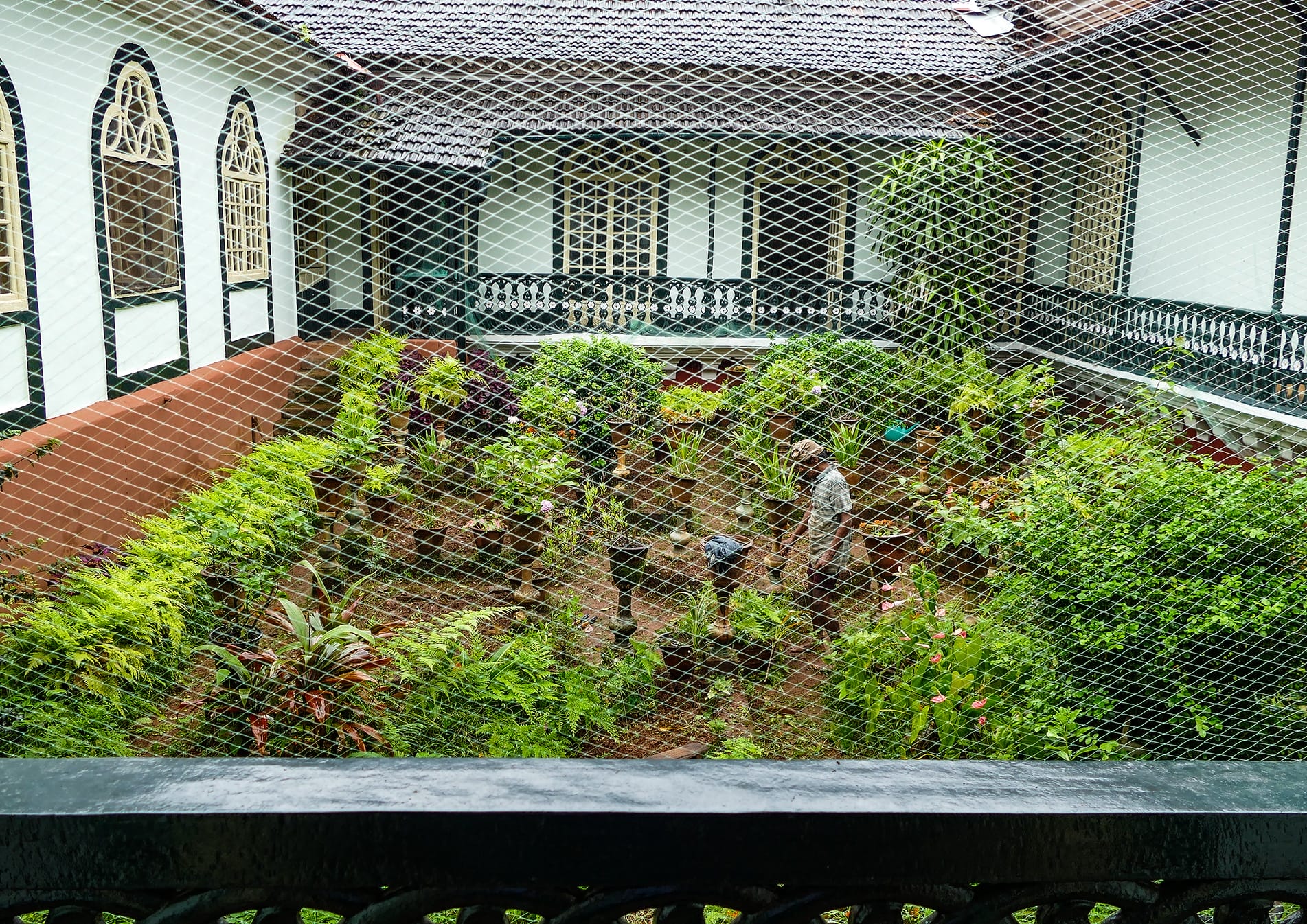 P1010804