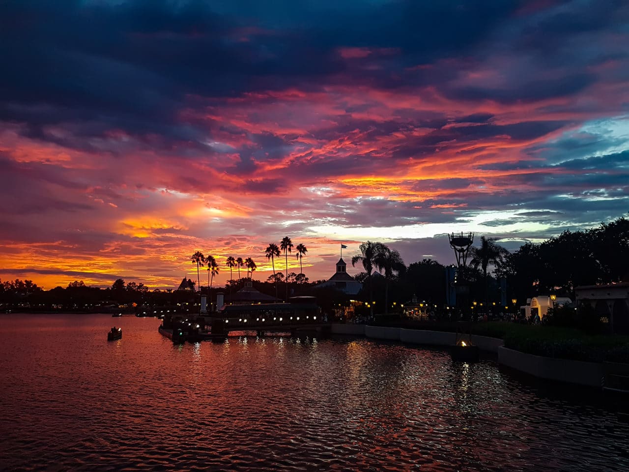 Disney Parks, Orlando – photo 8 of 37