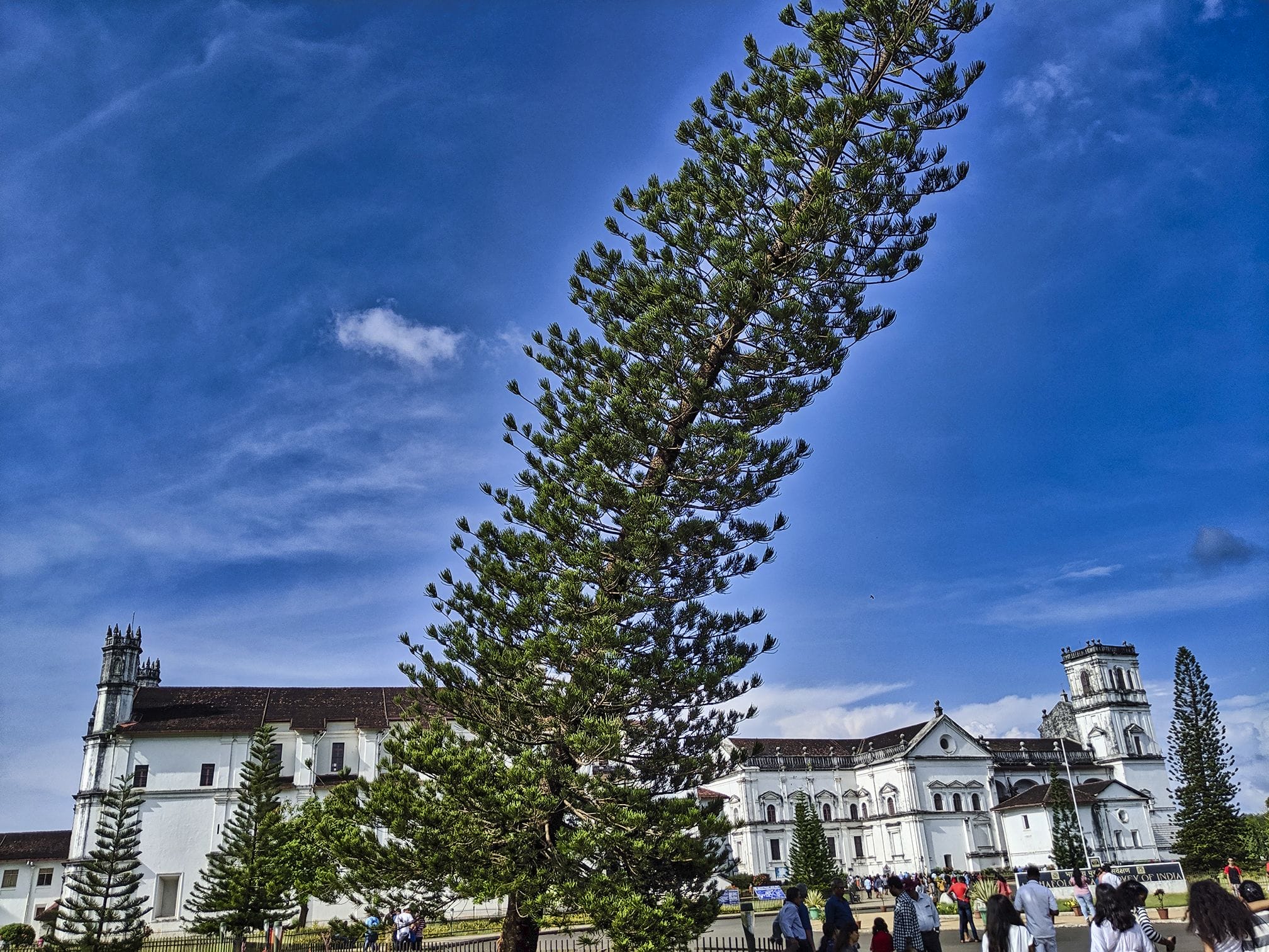 MVIMG_20191020_151912