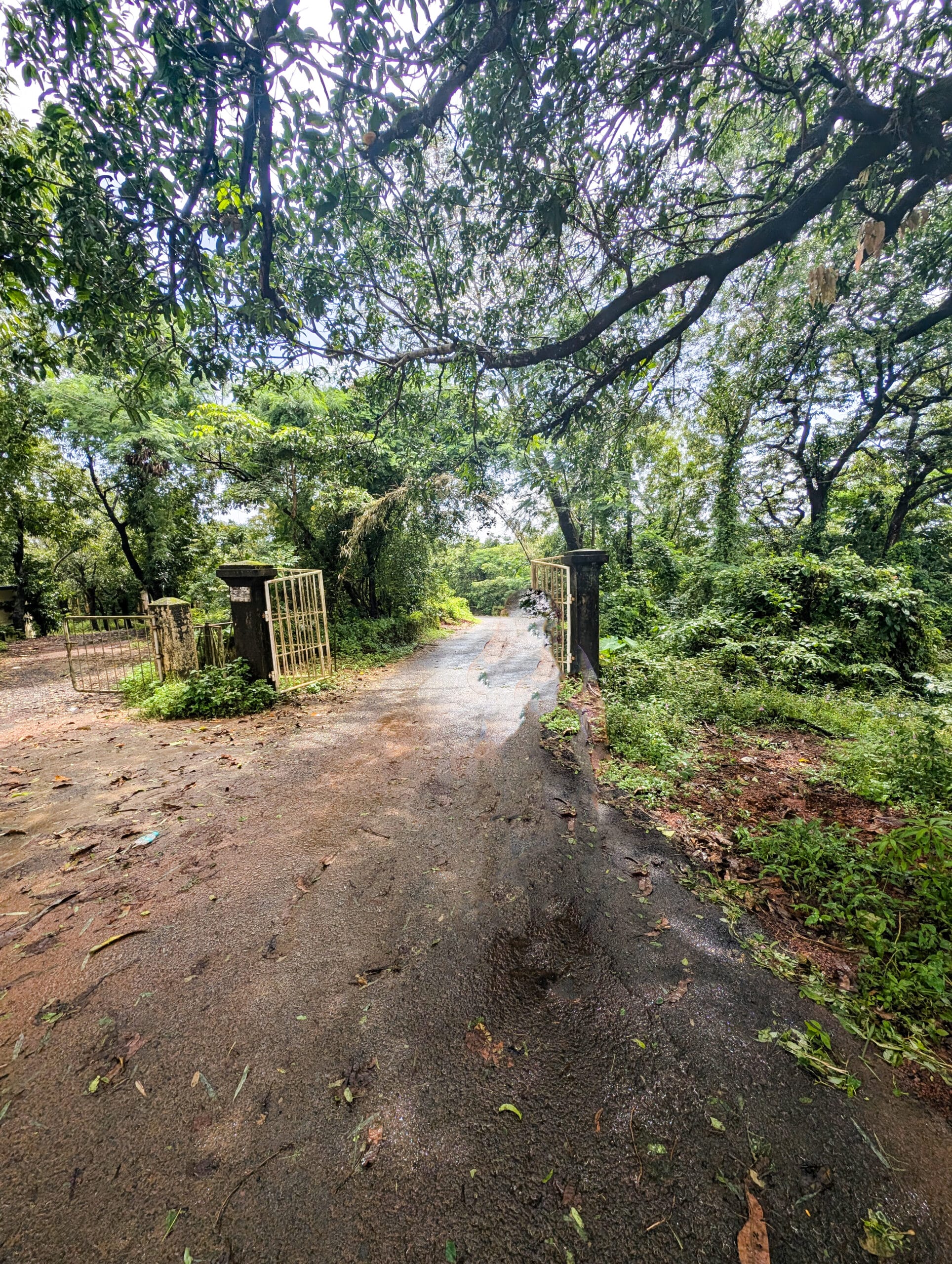 lp2 Divar Island, Goa – photo 2 of 33