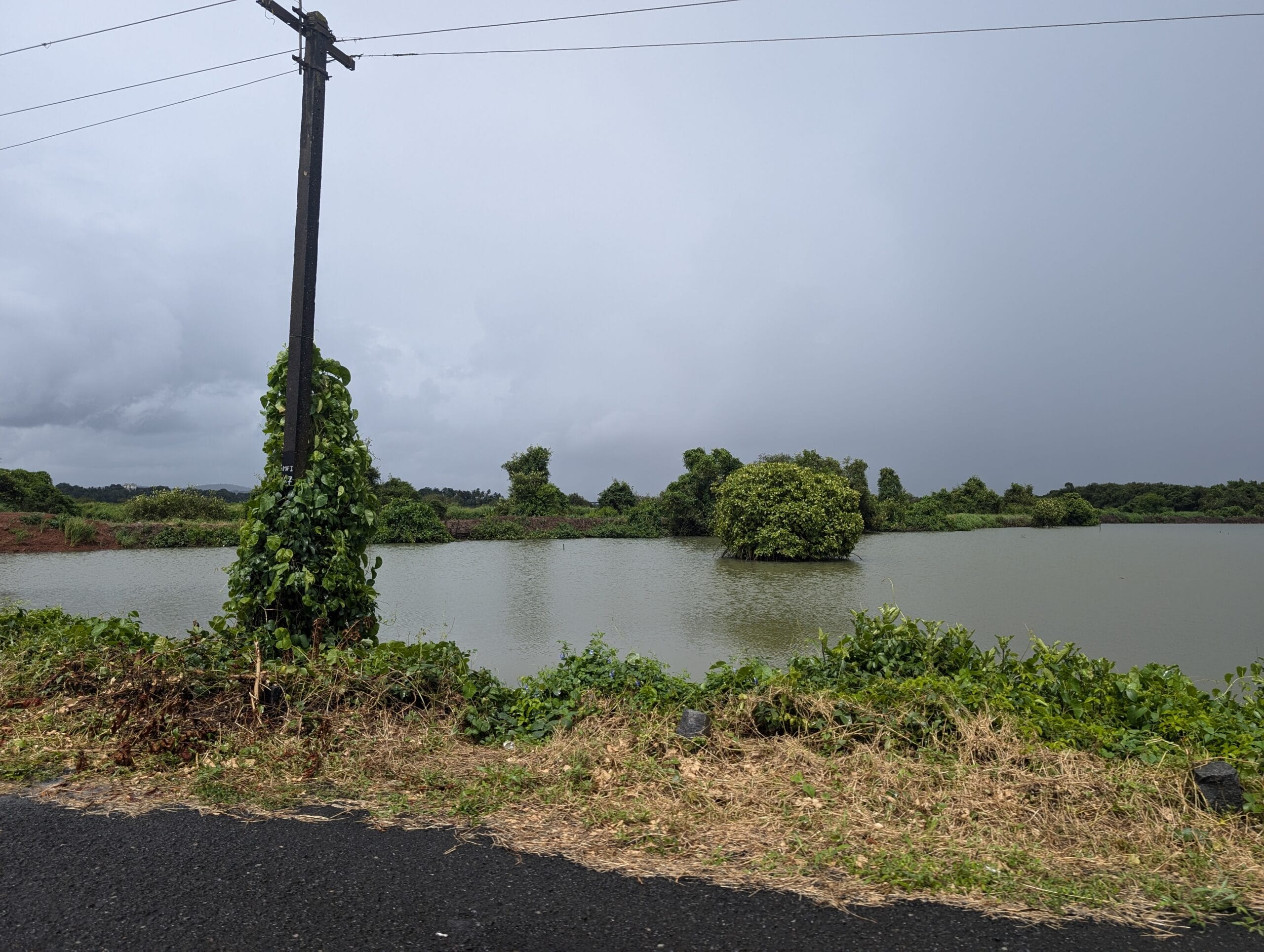 PXL_20240827_085600436.MP Divar Island, Goa – photo 9 of 33