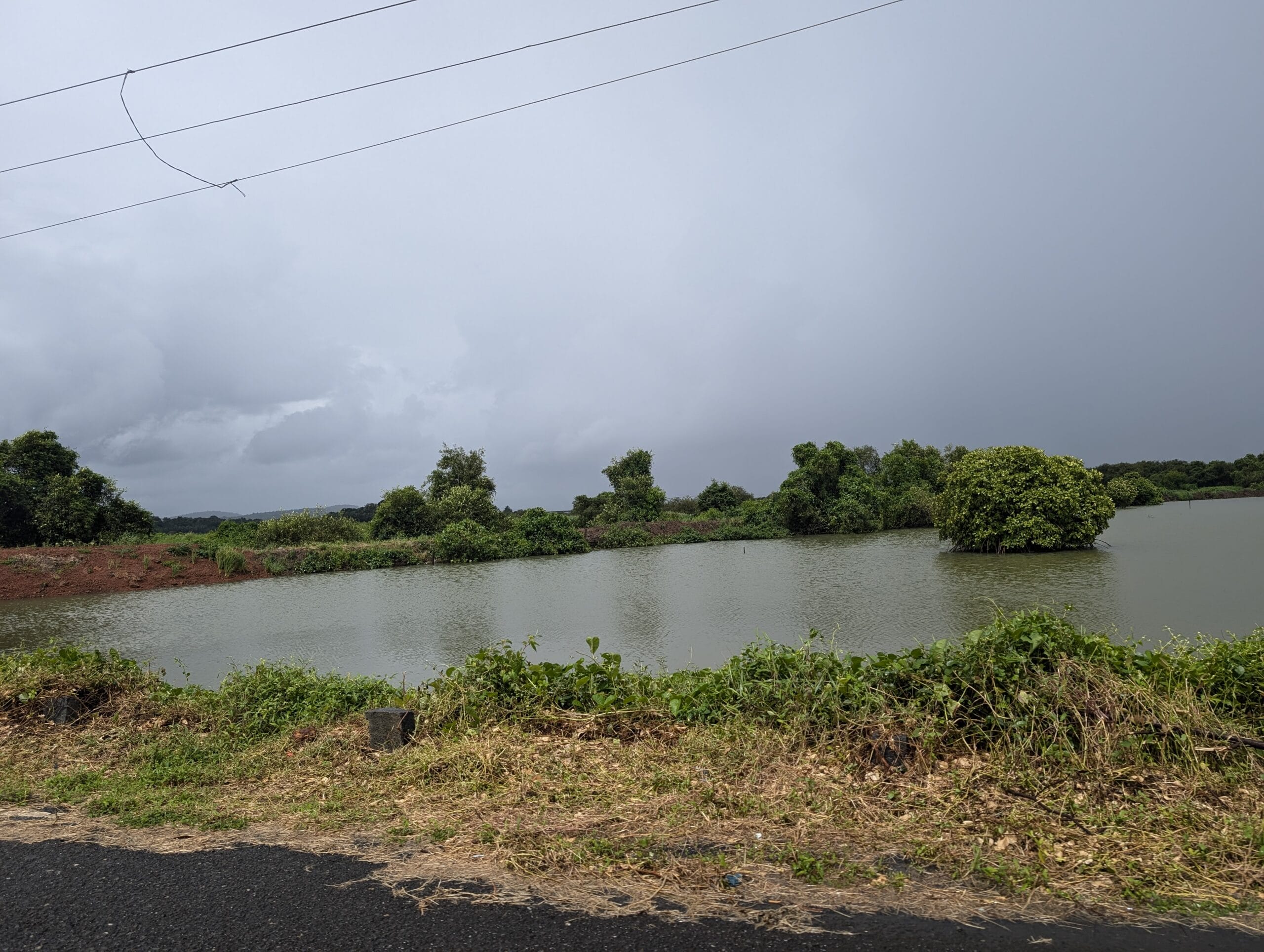 PXL_20240827_085602501.MP Divar Island, Goa – photo 8 of 33