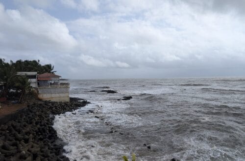 Hosa and Purple Martini restaurants in Goa