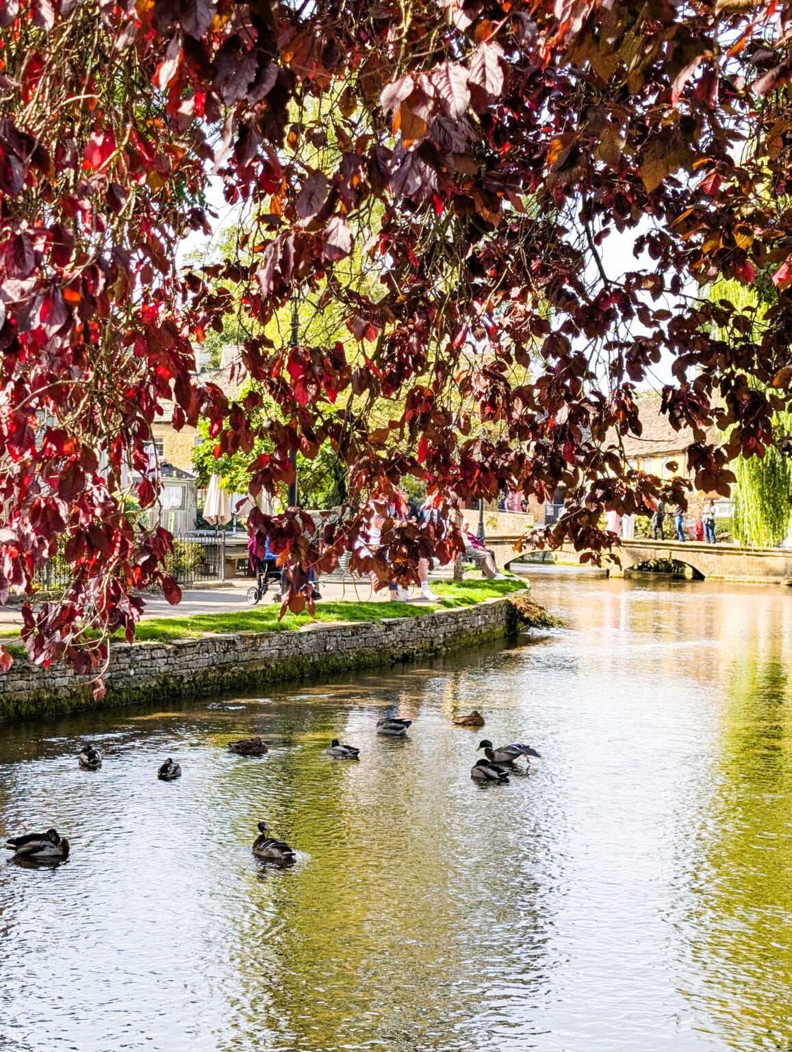 Bourton-on-the-Water in the Cotswolds &ndash; photo 5