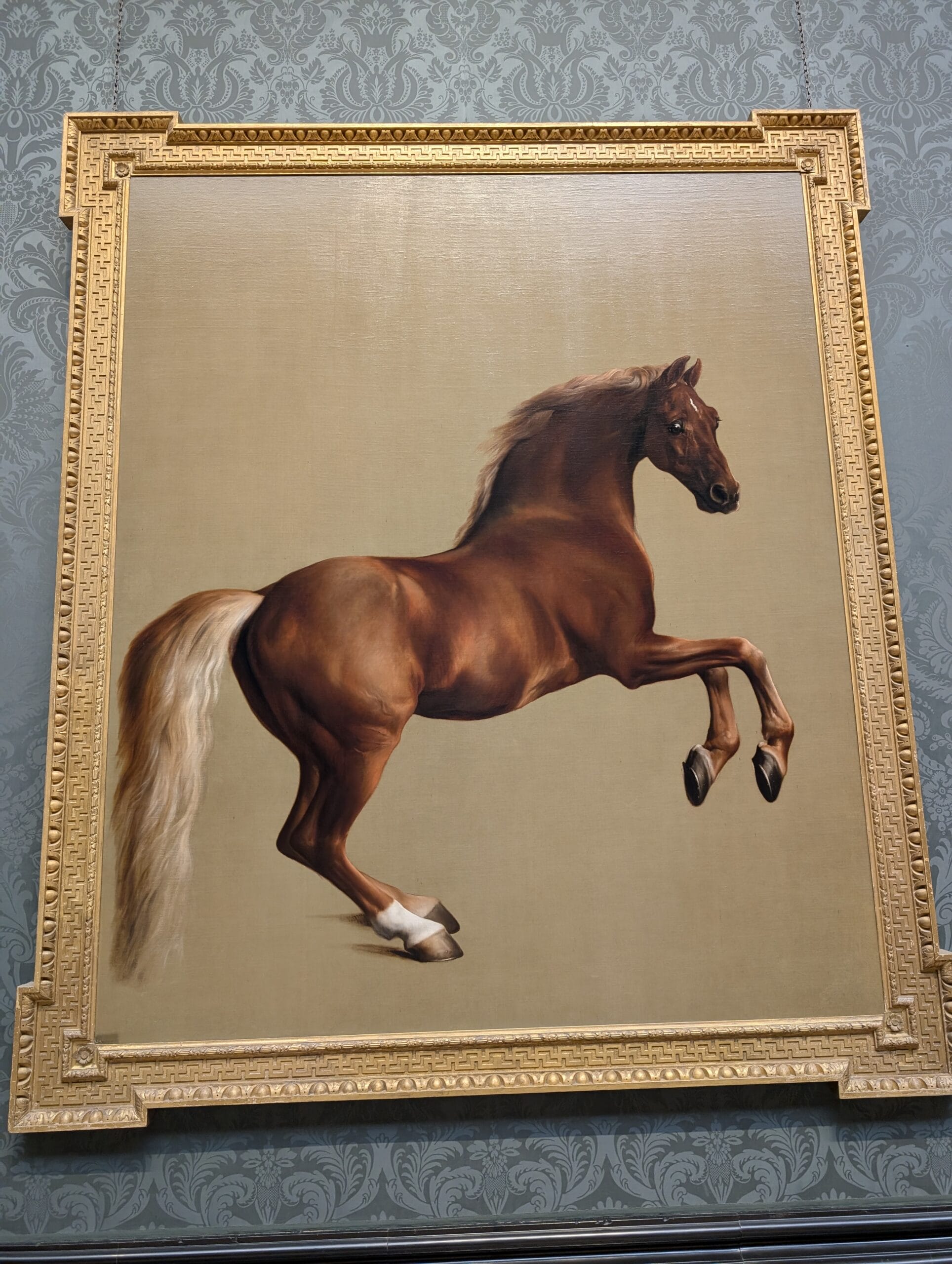 Whistlejacket by George Stubbs at the National Gallery
