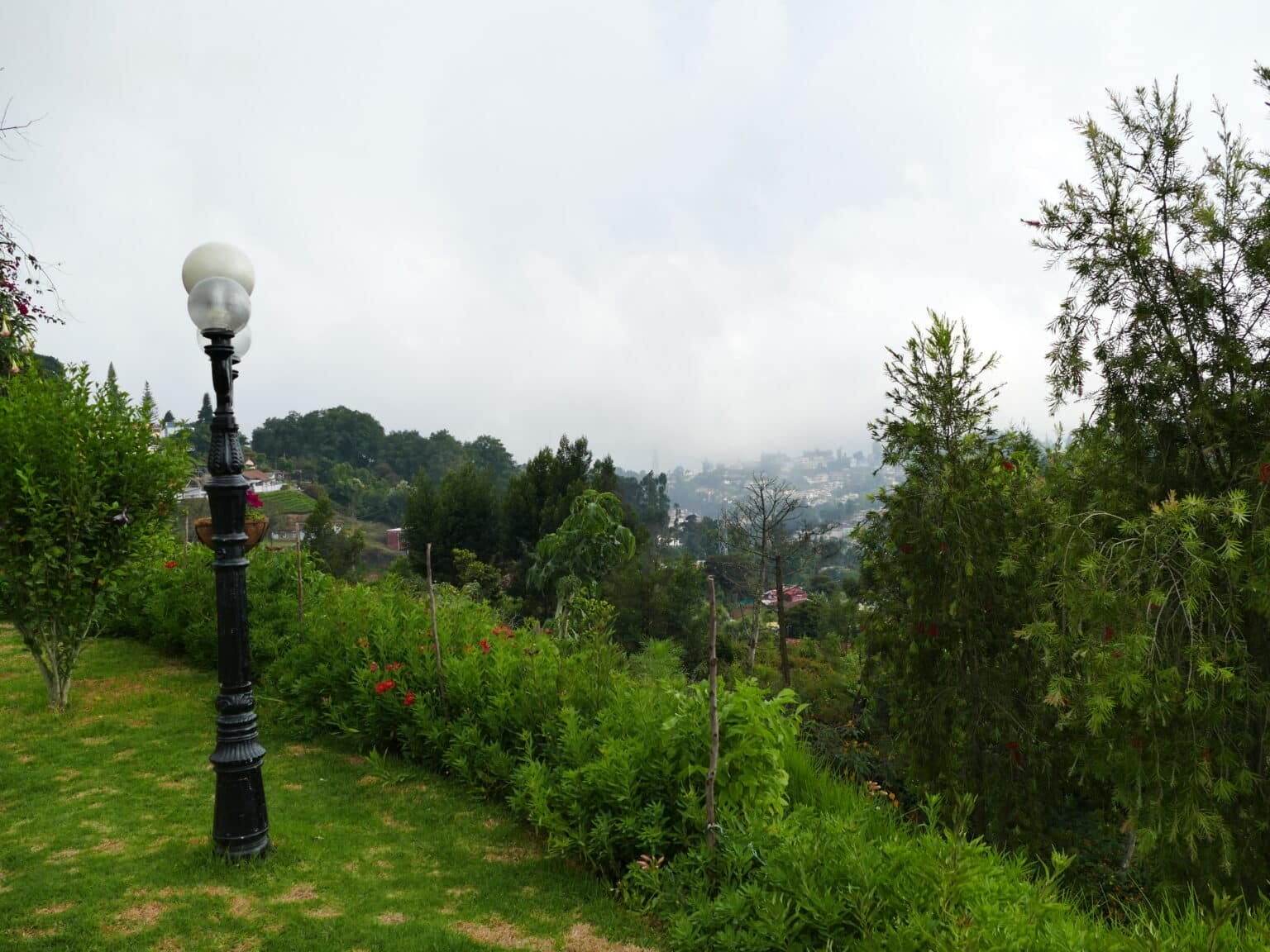 P1060336