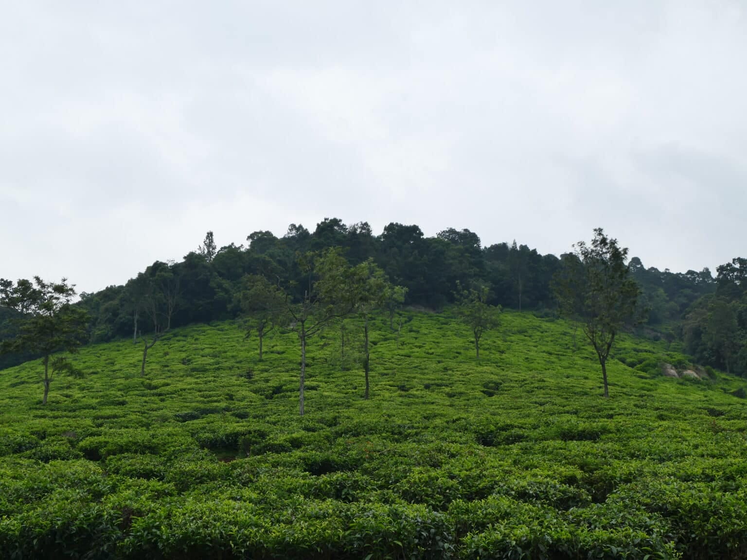 P1060587