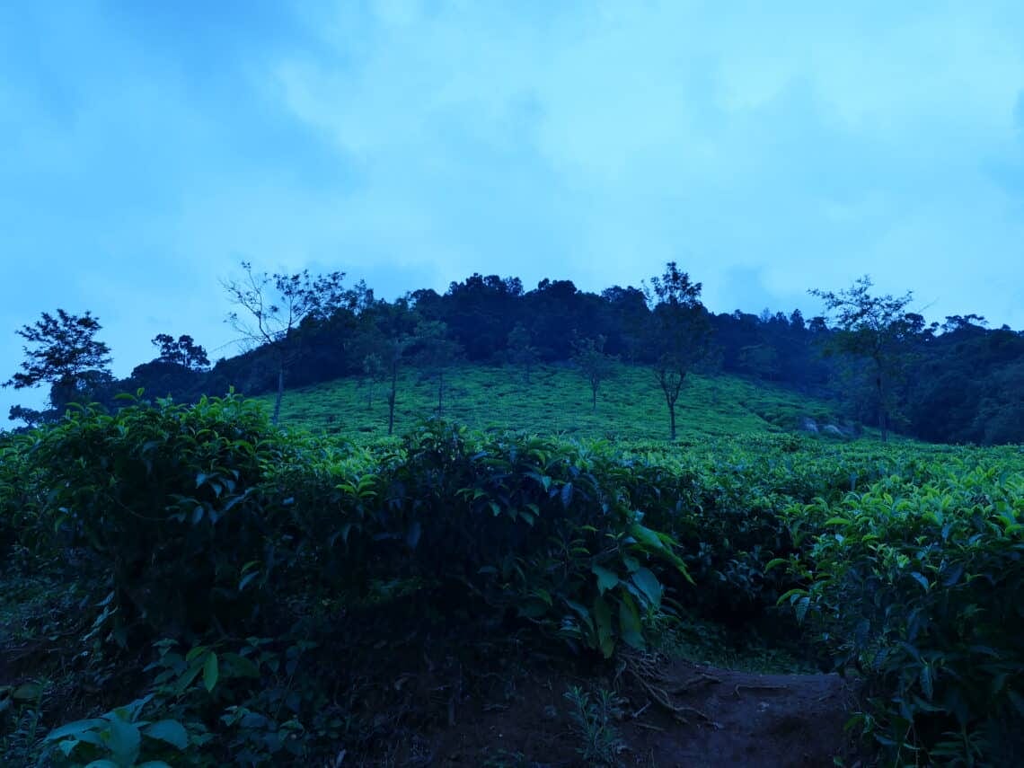 Coonoor hill station in the Nilgiri Hills