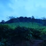Coonoor hill station in the Nilgiri Hills