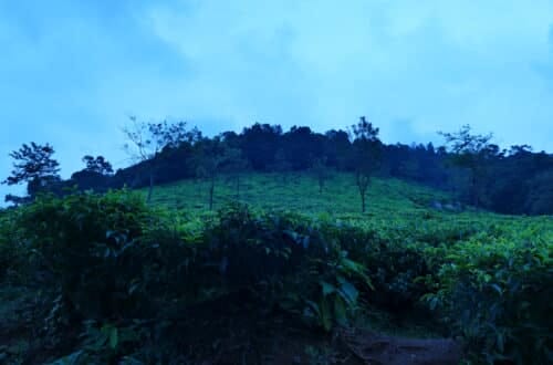 Coonoor hill station in the Nilgiri Hills