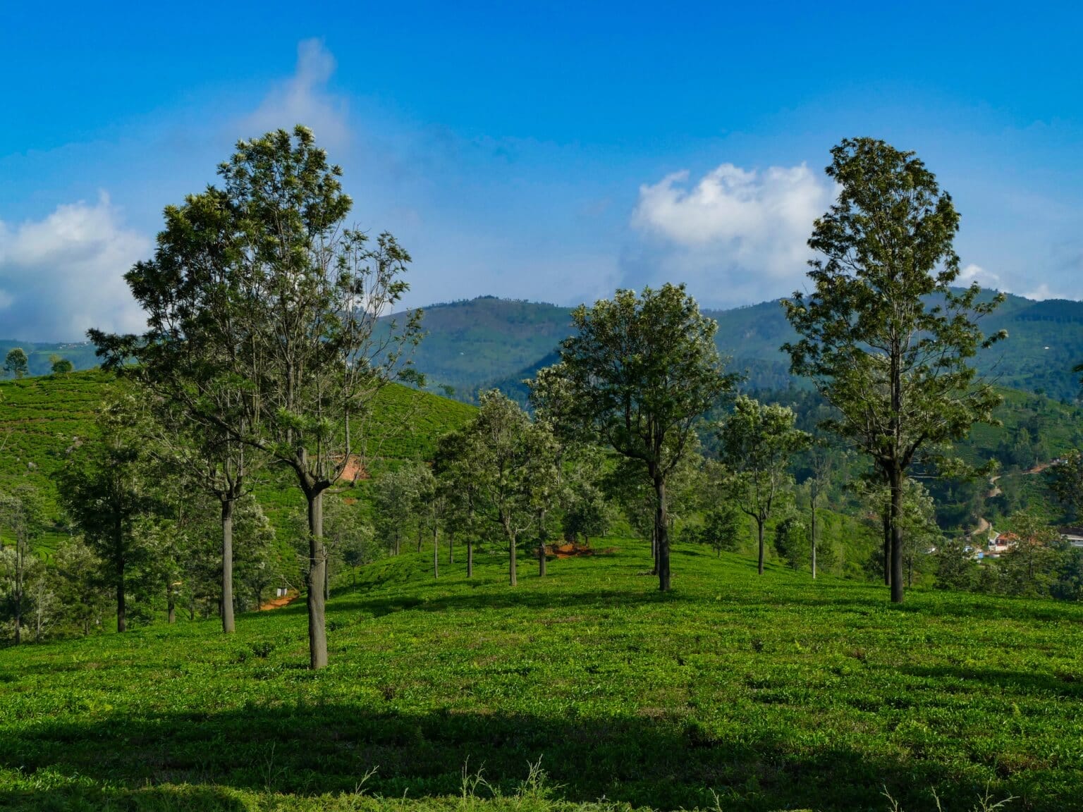 P1060154