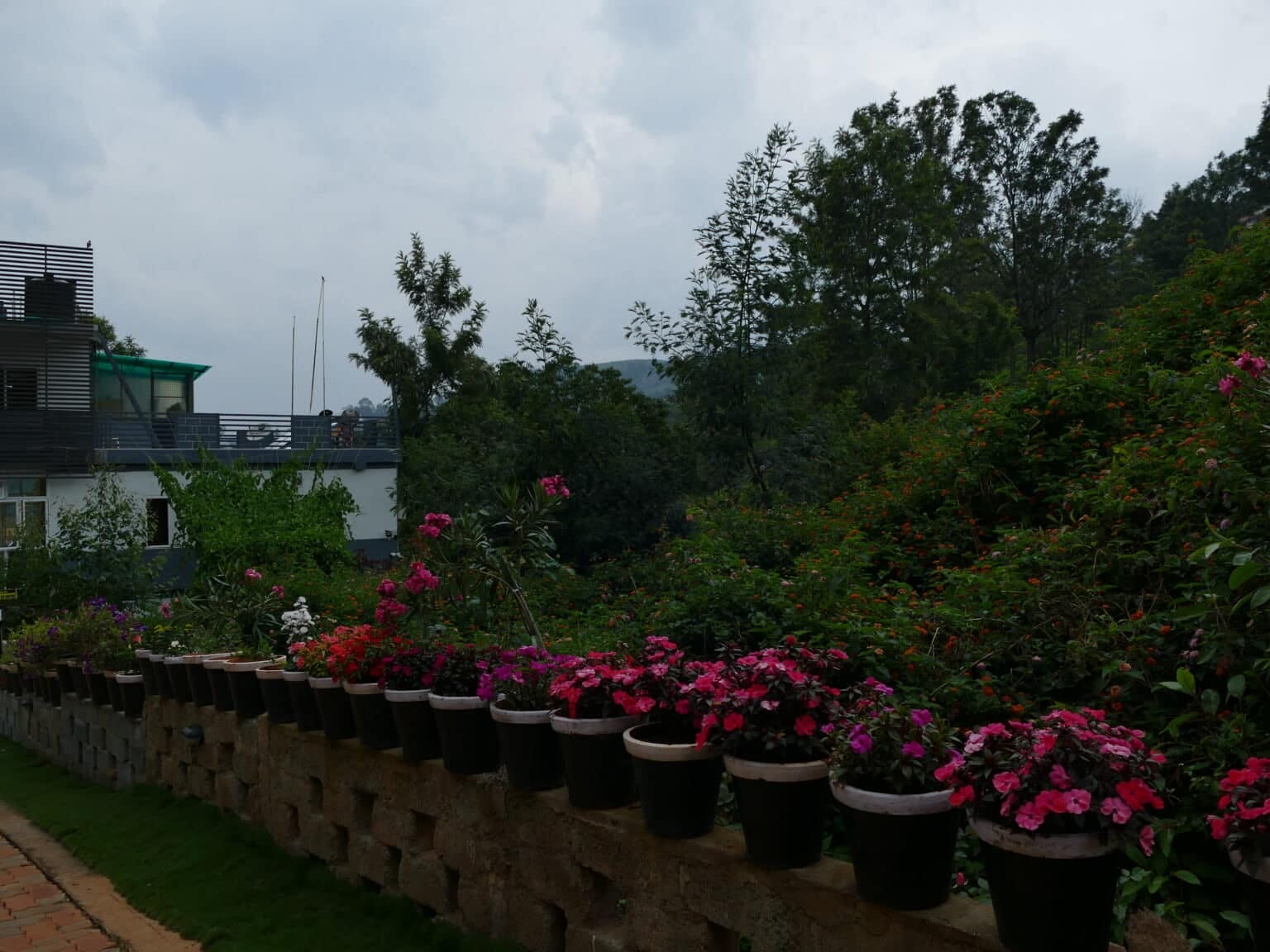 P1060546