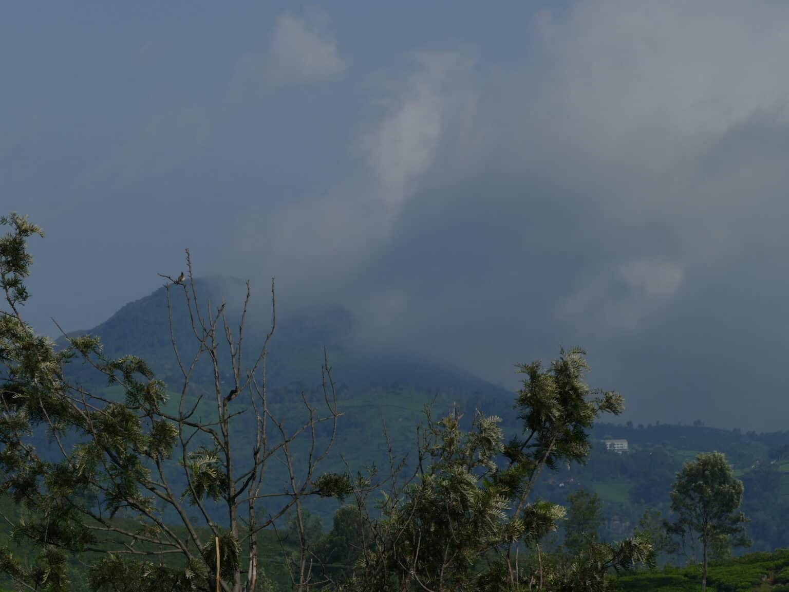 P1060150