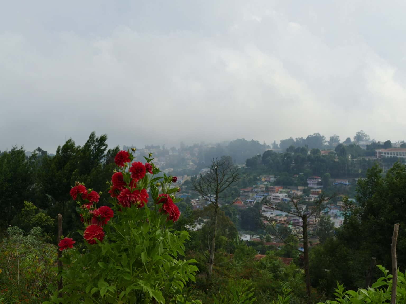 P1060342