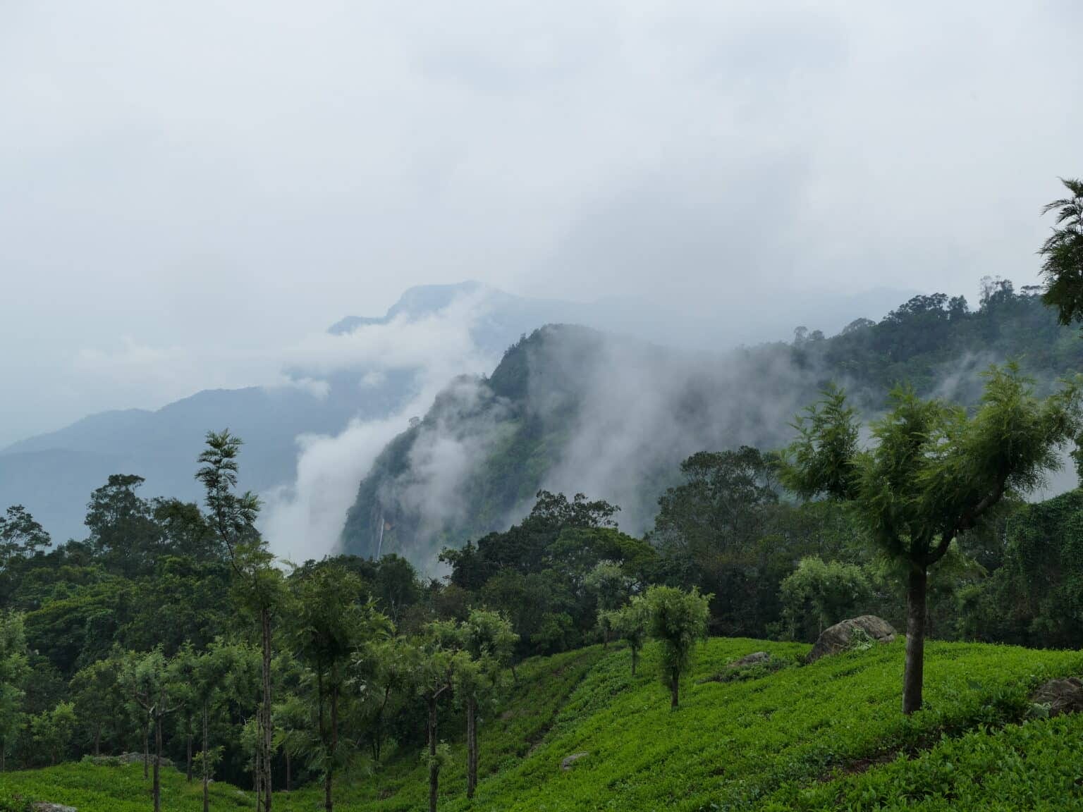 P1060645