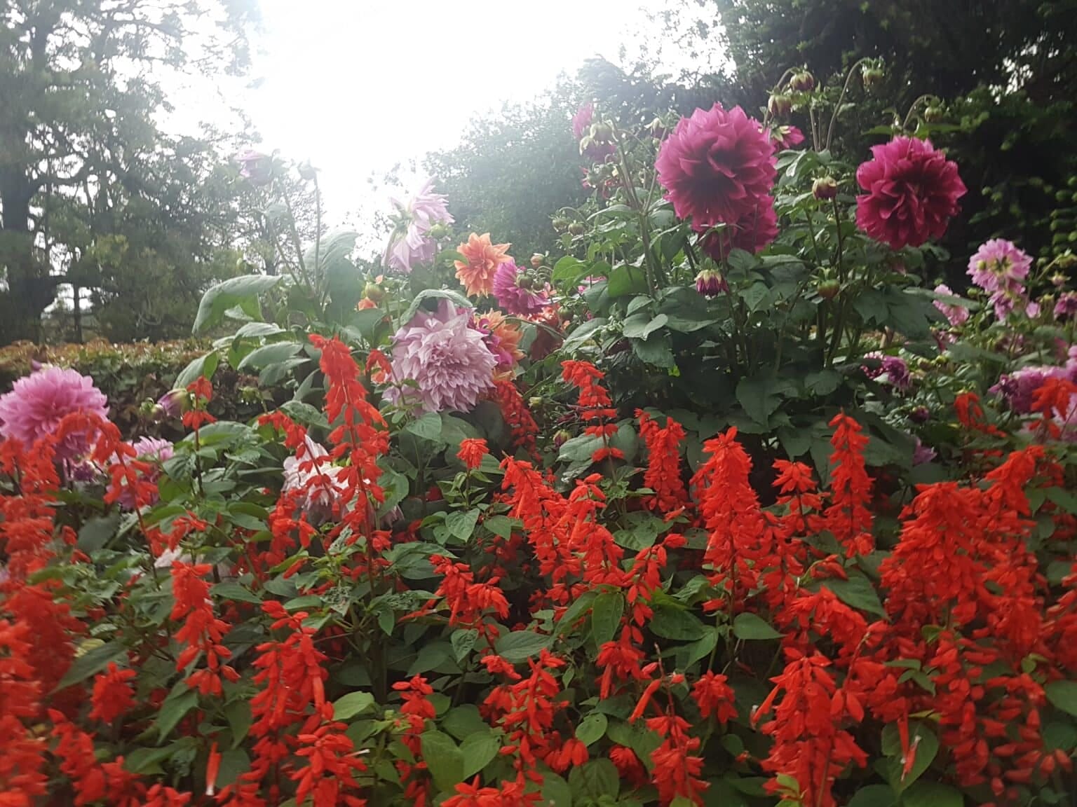 20180525_172153