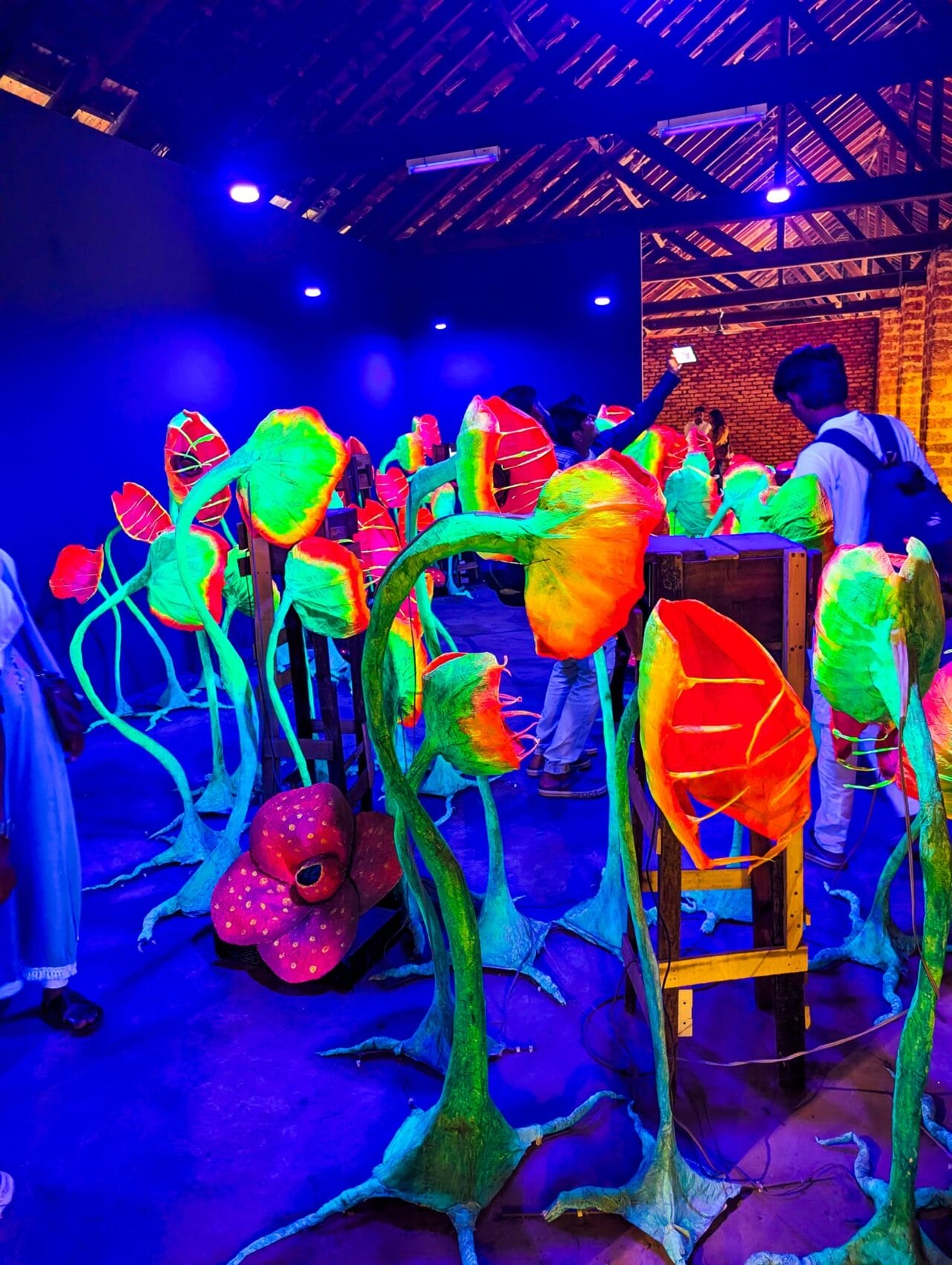 Kochi Biennale 2026 exhibition view in Kochi, image k4