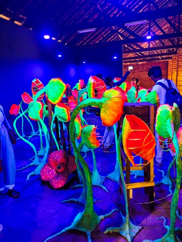 Kochi Biennale 2026 exhibition view in Kochi, image k4