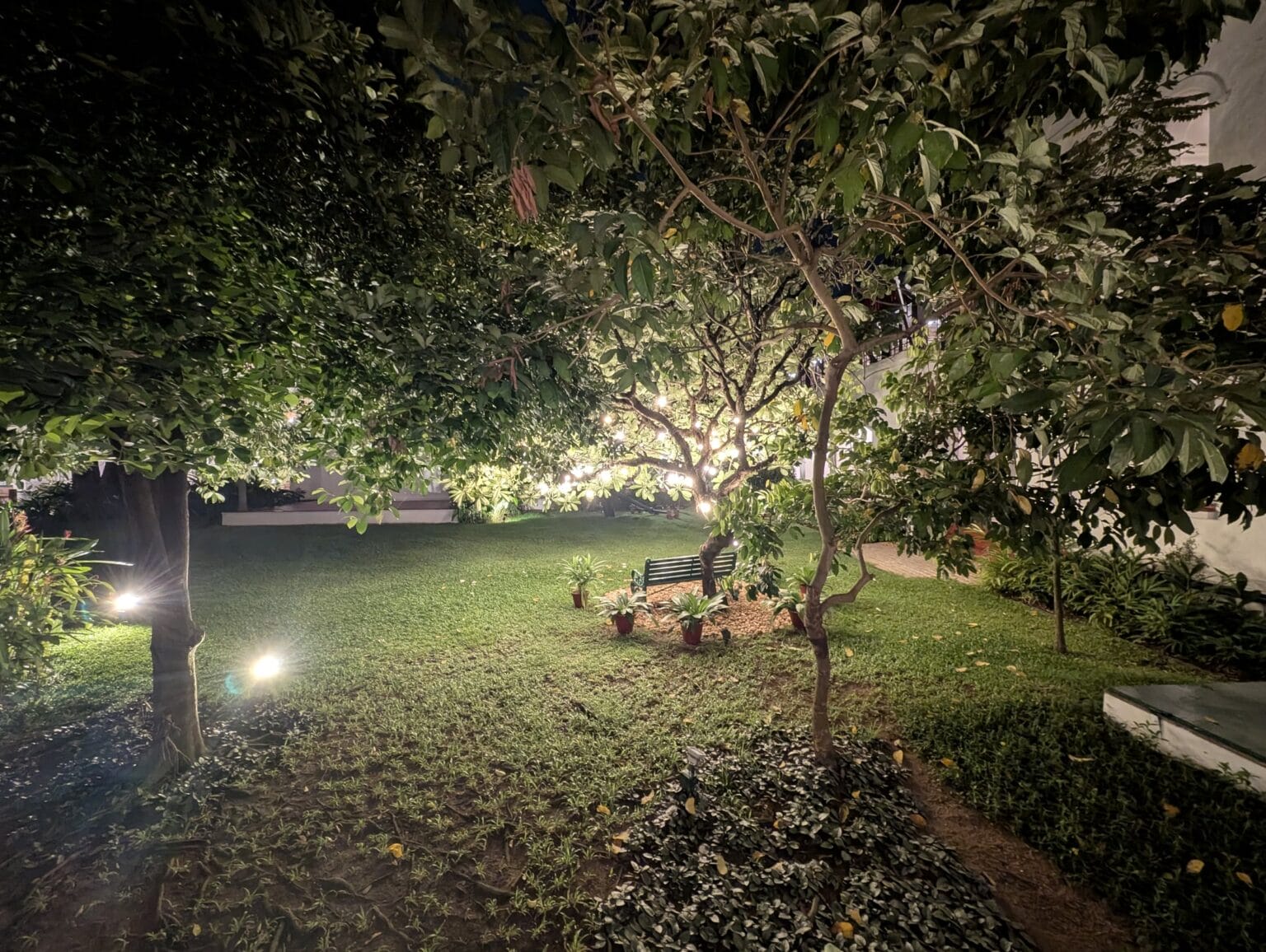 PXL_20260324_151135871